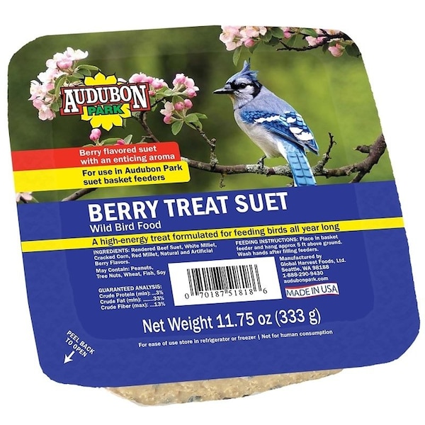 Audubon Park Berry Treat Suet 11.7 5oz - 13066