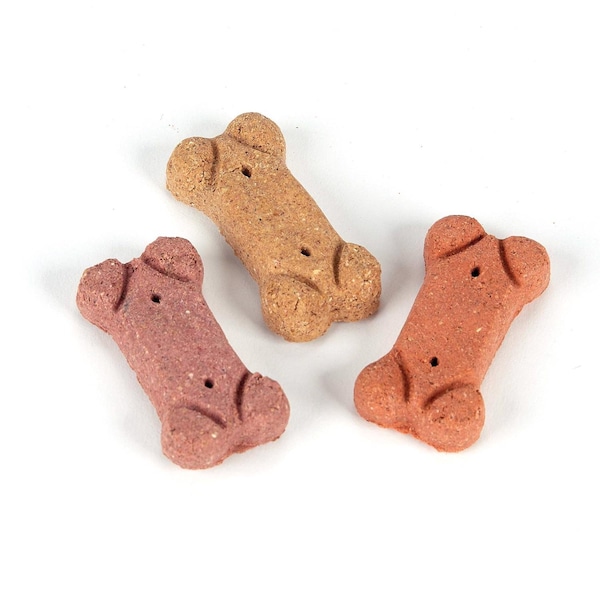 Pet Life Pet Life Assorted Biscuit For Dogs 4 lb 1 pk - ZX2801 04 10