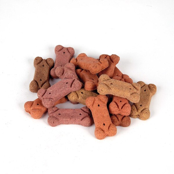 Pet Life Pet Life Assorted Biscuit For Dogs 4 lb 1 pk - ZX2801 04 10