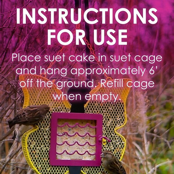 Heath Suet Cake, AllSeason, Berry Flavor, 1125 oz - DD-15