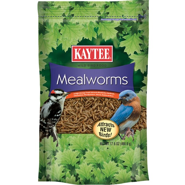Kaytee Products Kaytee Songbird Dried Mealworm Mealworms 17.6 oz - 100508146