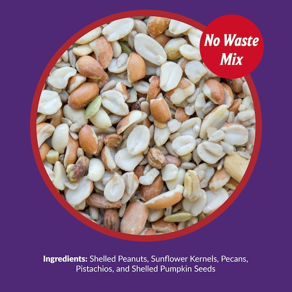 Lyric Lyric Delite Chickadee Peanut Pieces Wild Bird Food 20 lb - 26-47407