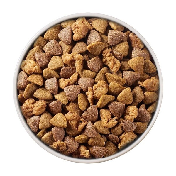 Purina One Purina SmartBlend 149396 Dog Food, Dry, Chicken, Rice Flavor, 31.1 lb - 14939