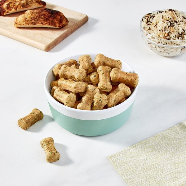 Rise By Dash Rise by Dash Polypropylene Dog Treat Maker 6 pc - RDTM200GBRR04