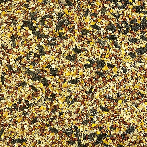 Kaytee Wild Bird Food, 20lb - GL61100033637