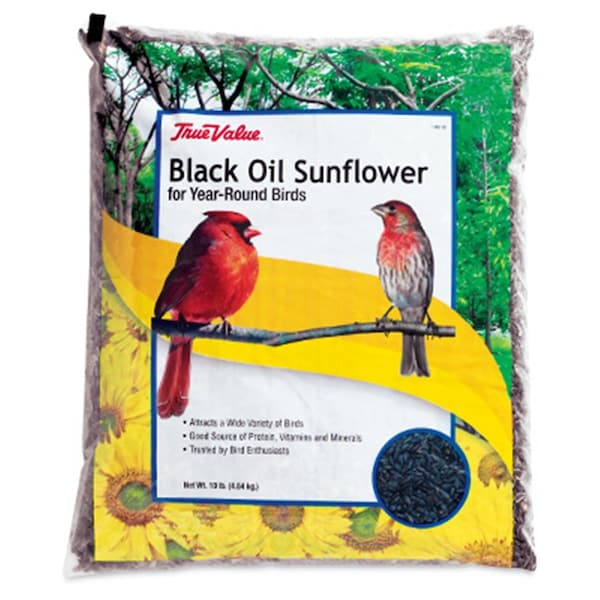 Jrk Seed & Turf Supply True value 10 lbs Sunflower Bird Seed - JR569739