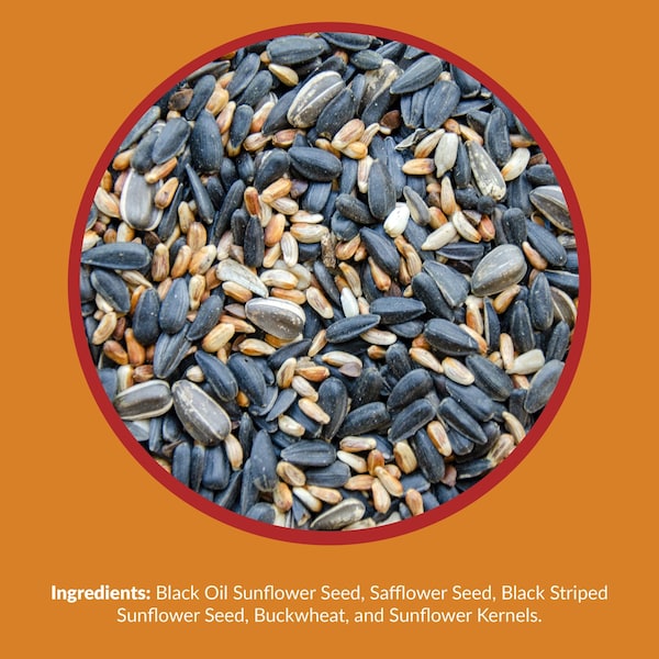 Lyric Lyric Cardinal Sunflower Seeds Wild Bird Food 3.75 lb - 26-19065