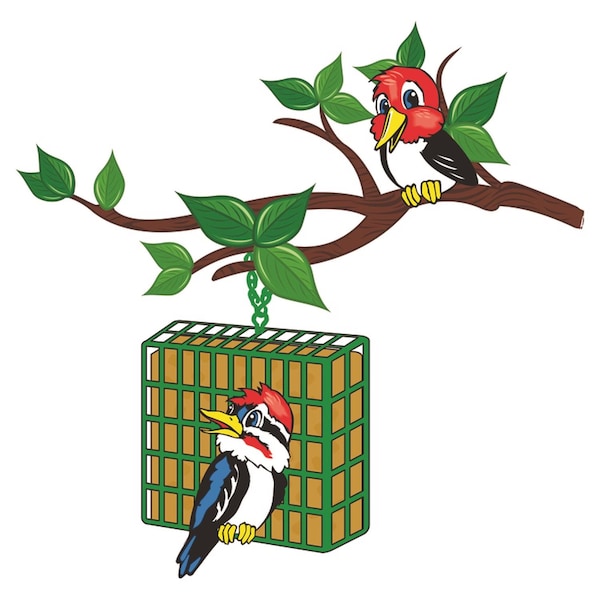 C&S Products C&S Products Cherry Treat Assorted Species Beef Suet Wild Bird Food 11.75 oz - 12535