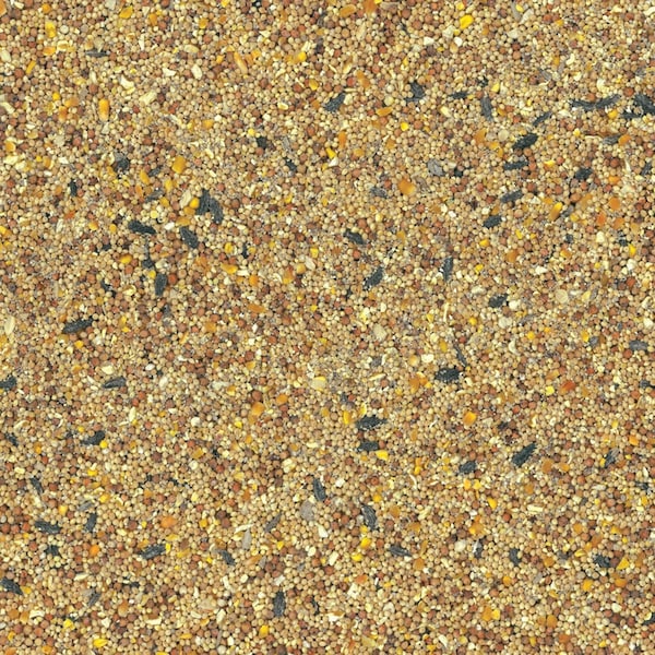 Kaytee Products Kaytee Basic Blend Songbird Grain Products Wild Bird Food 5 lb - 100061905