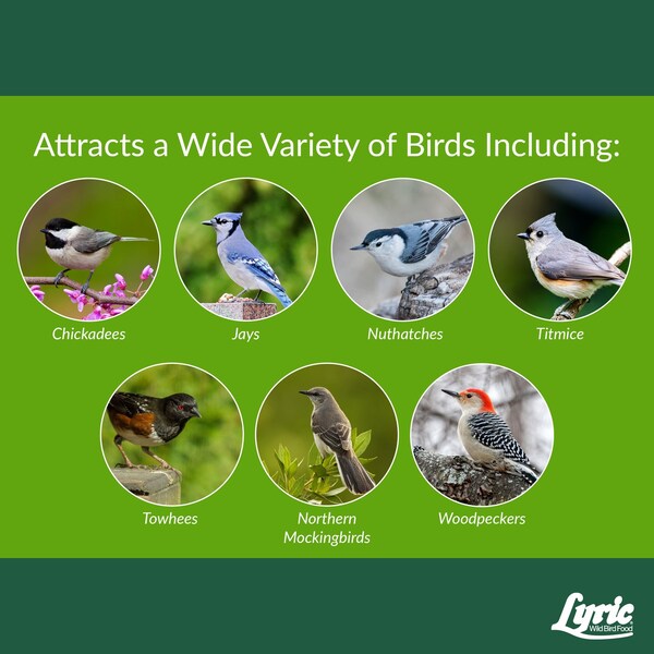 Lyric Lyric Woodpecker Fruits and Nuts Wild Bird Food 20 lb - 26-47406