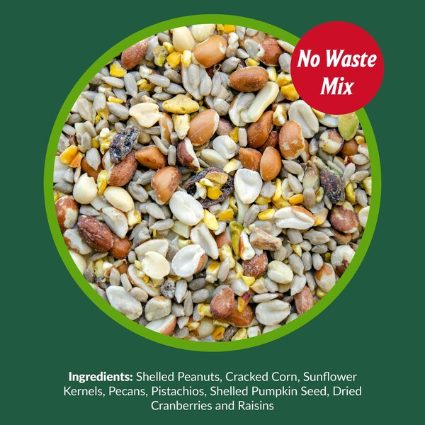 Lyric Lyric Woodpecker Fruits and Nuts Wild Bird Food 20 lb - 26-47406