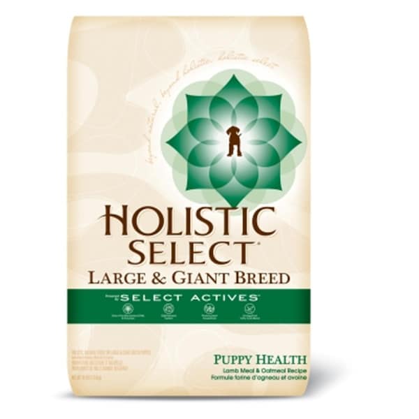 Wellpet Mishawaka 30 lb. Holistic Puppy Large-Giant Breed - WP23924