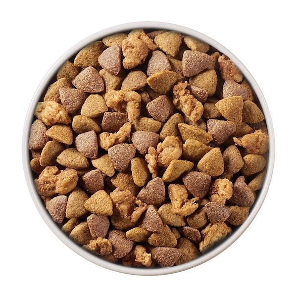 Purina One Purina SmartBlend Dog Food, Dry, Chicken, Rice Flavor, 8 lb - 17380