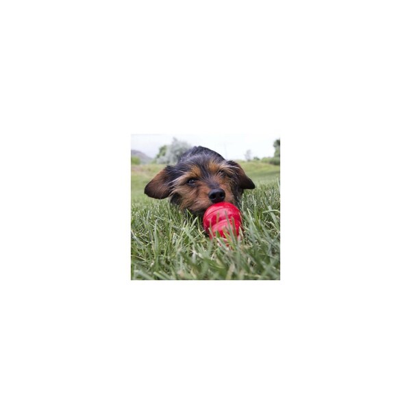 Kong Easy Treat Bacon and Cheese Dog Treat, 8 oz. - XS6