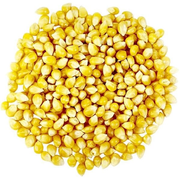 Natures Select Ingredients Natures Select Ingredients 1509 No. 50 MP40 Ultra Whole Corn Wild Bird Feed - 1509