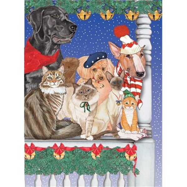 Pipsqueak Productions Pipsqueak Productions C875 Mix Dog With Cat Holiday Boxed Cards - C875