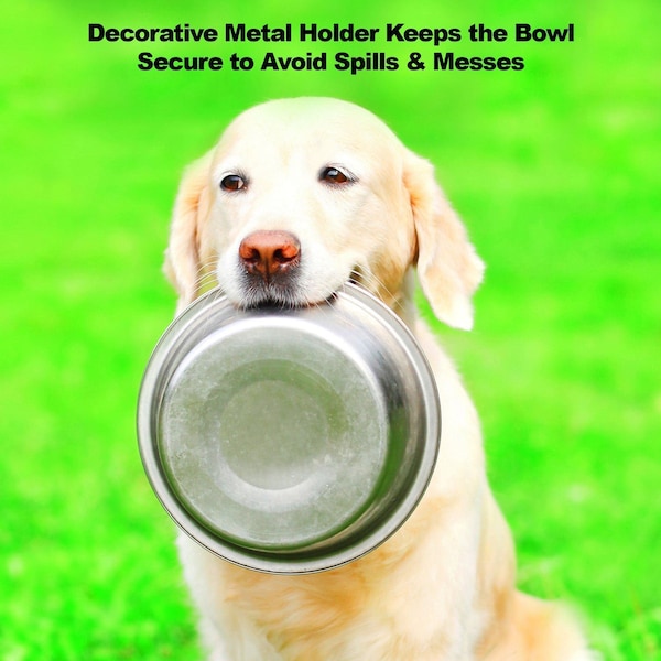 Pet Adobe Pet Adobe Modern Double Elevated Dog Bowls, Black - 177748ZMA