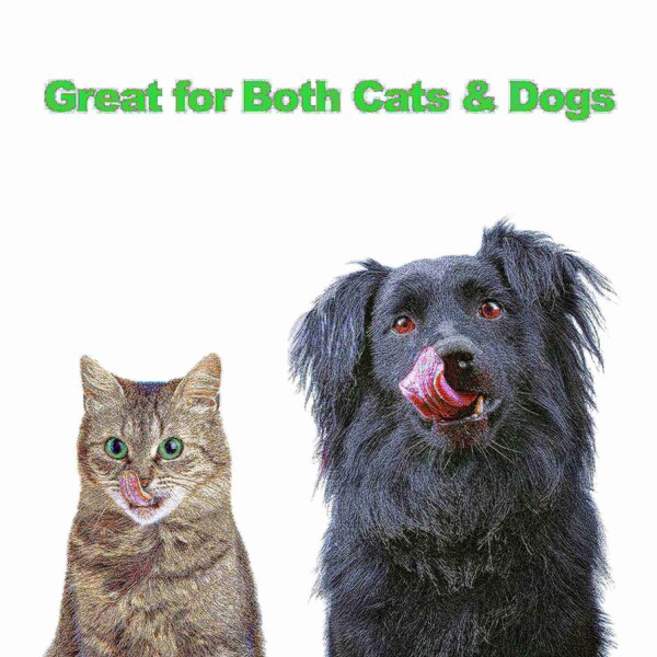 Pet Adobe Pet Adobe Modern Double Elevated Dog Bowls, Black - 177748ZMA