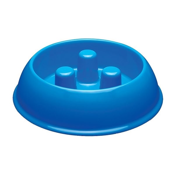 Proselect Slow Feeder Bowl, M, 40 oz Volume, Plastic, Blue - ZX7082 15