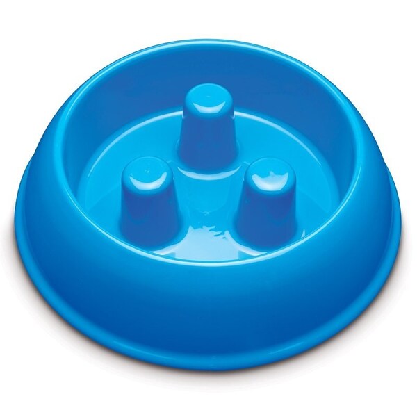 Proselect Slow Feeder Bowl, M, 40 oz Volume, Plastic, Blue - ZX7082 15