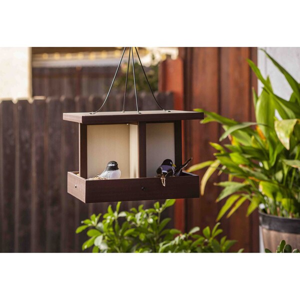 New Age Pet Feathered Friends, Beak Buffet Bird Feeder, Maple w/ Walnut Trim - RHBSQ41-09