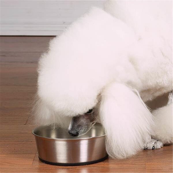 Pamperedpets Stainless Steel Bowl with Rubber Base 88oz - PA2632672