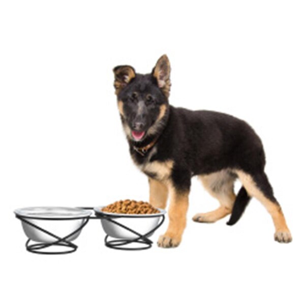 Junkiedrogadicto Stainless Steel Raised Food & Water Bowls with Decorative 3.5 in. Tall Stand - JU2046531