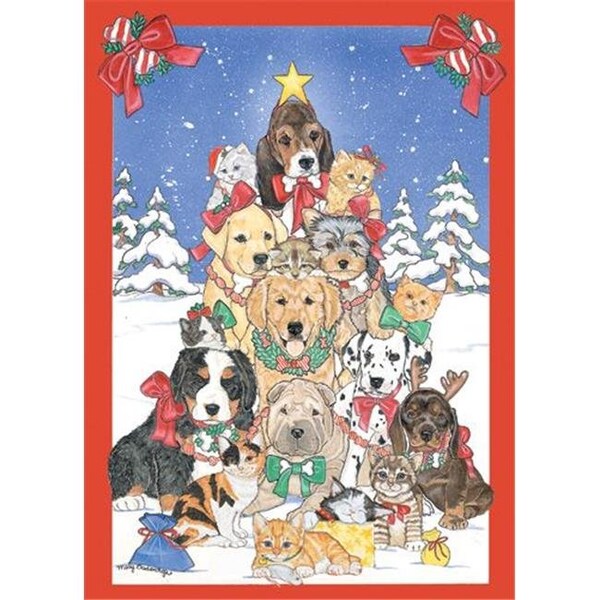 Pipsqueak Productions Pipsqueak Productions C979 Mix Dog With Cat Holiday Boxed Cards - C979