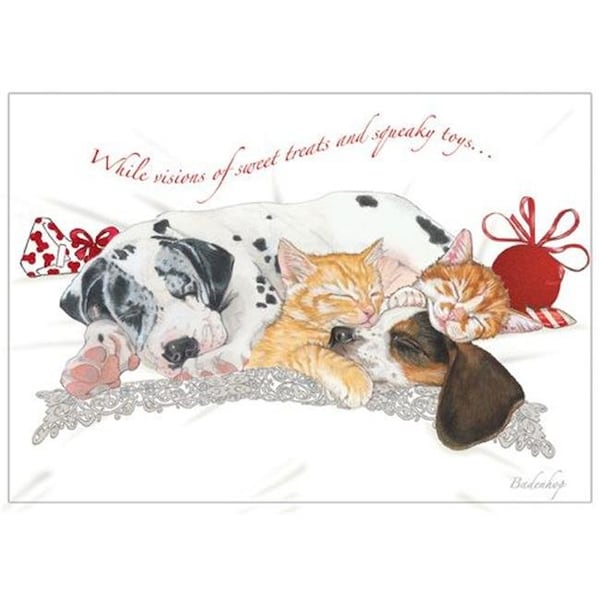 Pipsqueak Productions Pipsqueak Productions C534 Mix Dog With Cat Holiday Boxed Cards - C534