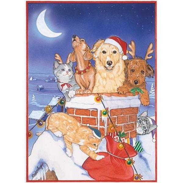 Pipsqueak Productions Pipsqueak Productions C492 Mix Dog With Cat Holiday Boxed Cards - C492