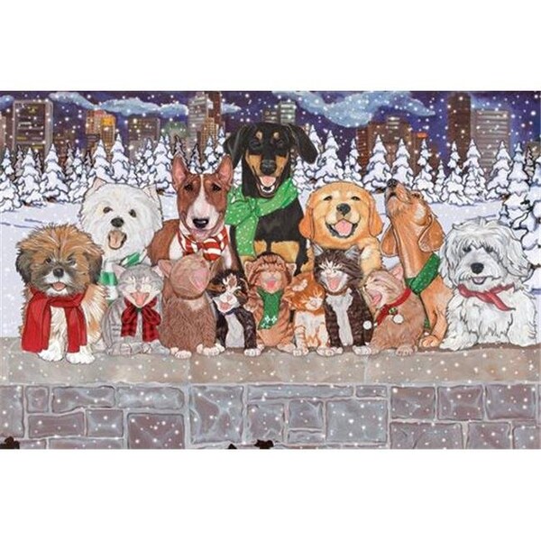 Pipsqueak Productions Pipsqueak Productions C514 Mix Dog With Cat Holiday Boxed Cards - C514