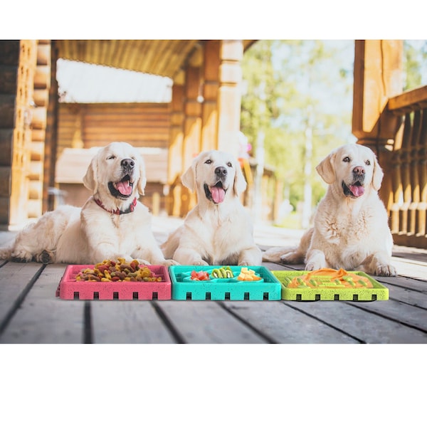 Anypet Any Pet - Slow Feeding Mat, Tray, Slow Feeder Dog Bowl - APT06