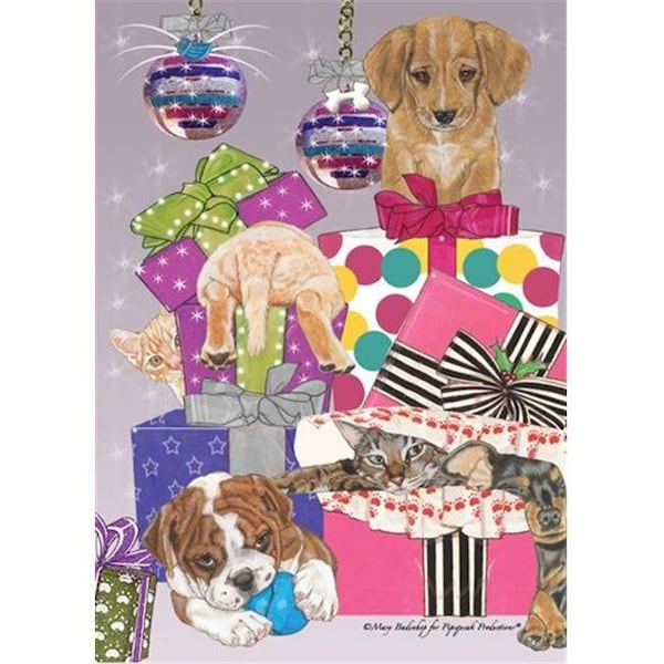 Pipsqueak Productions Pipsqueak Productions C533 Mix Dog With Cat Holiday Boxed Cards - C533