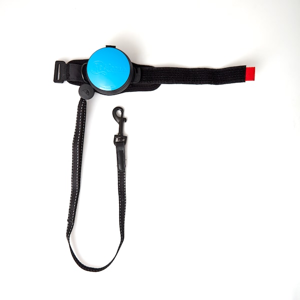 Releash ReLeash Hands Free Dog Leash, 9-Foot Cord, Blue - RL-O-BLUE