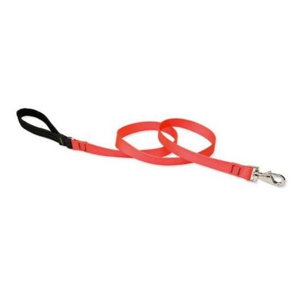 Lupine Pet Lupine 52559 1 in. Blaze Orange 6 ft. Padded Handle Dog Leash - 52559