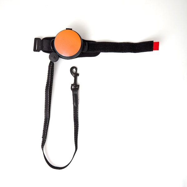 Releash ReLeash Hands Free Dog Leash, 9-Foot Cord, Light Lock Orange - RL-LL-ORANGE