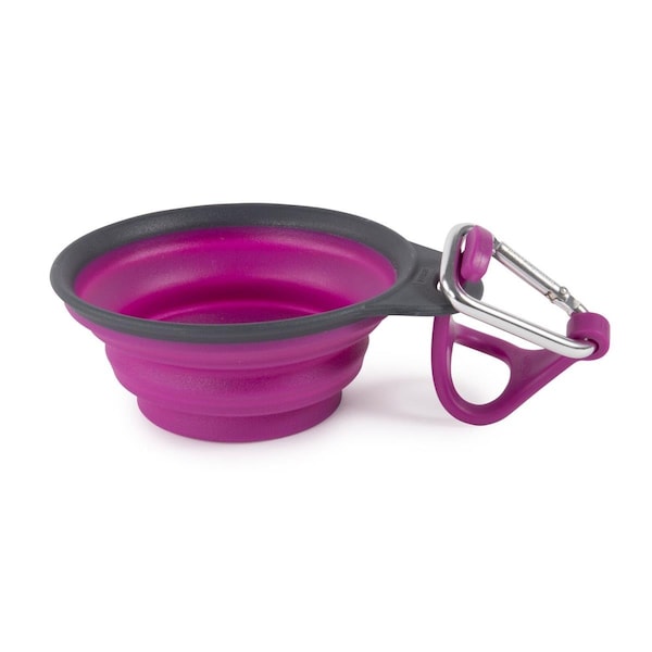 Dexas International PW22043242 Travel Cup with Buttle Holder & Carabiner, Green - D7Q-PW22043242