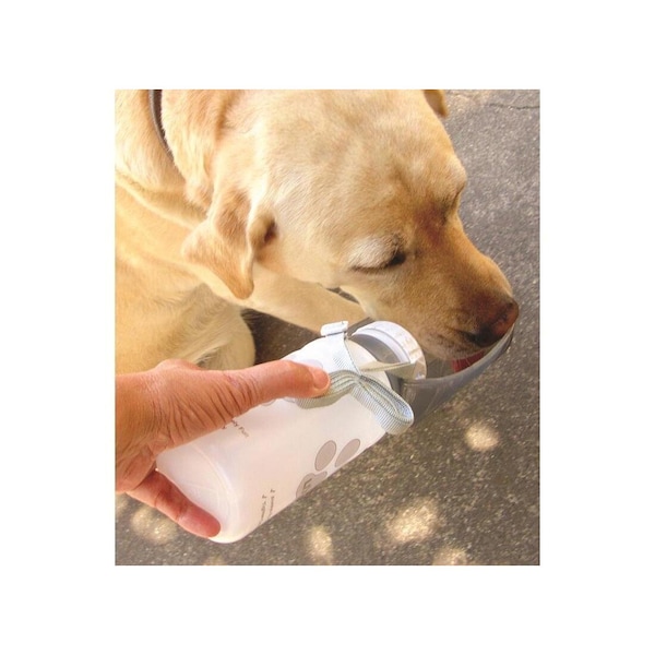 Lixit Portable Watering Bottle/Bowl Clear Plastic 20 oz For Dogs Clear - 30-0842-006