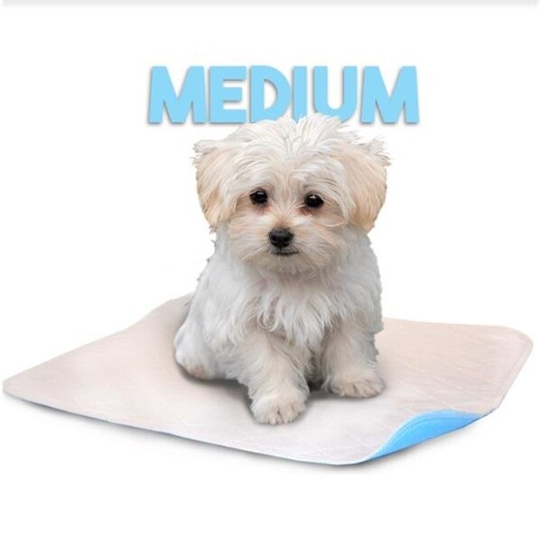 Lennypads Lennypads 1824LP 18 x 24 in. Medium Washable Pet Pad - White - 1824LP