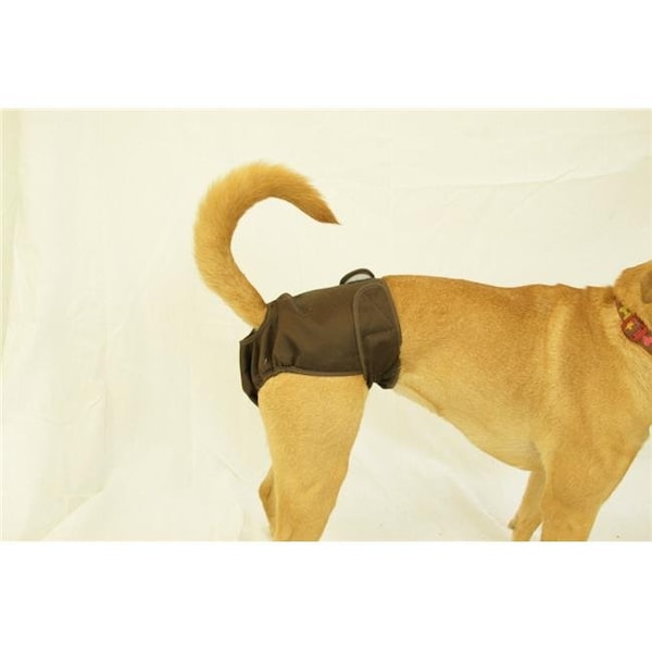 Seasonals Seasonals 41118BRN Washable Female Dog Diaper; Brown - Fits Queen - 41118BRN