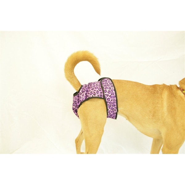 Bpf Washable Female Dog Diaper, Cheetah - Medium - BP2691354