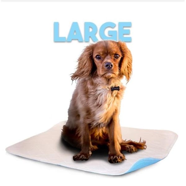 Lennypads Lennypads 2327LP 23 x 27 in. Large Washable Pet Pad - White - 2327LP