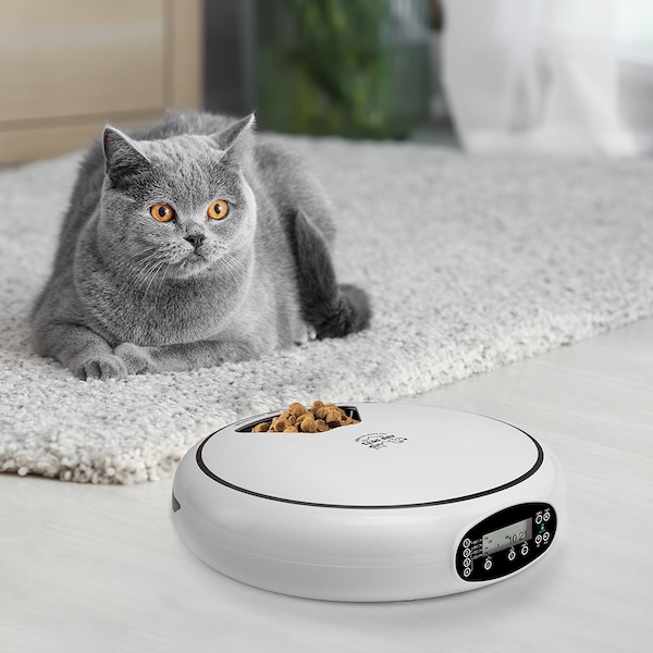Arf Pets Automatic Pet Feeder, 5 Meal Food Dispenser for Dogs, Cats & Small Pets - AP5MAF