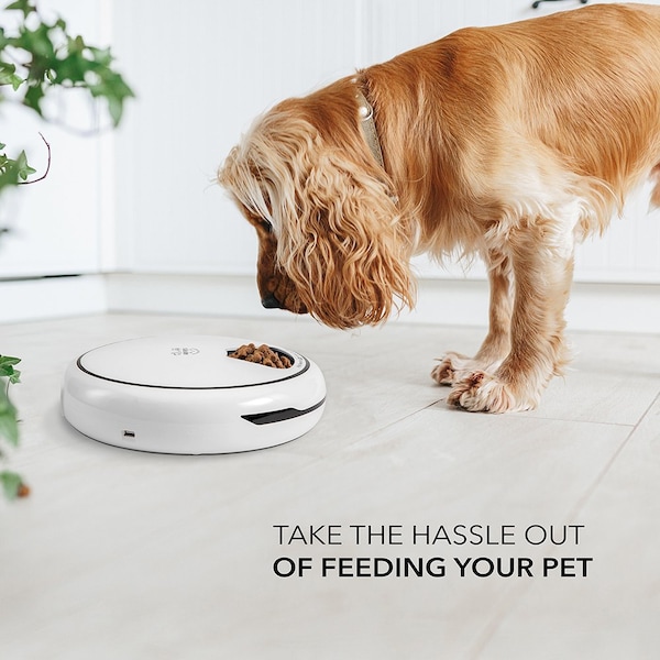 Arf Pets Automatic Pet Feeder, 5 Meal Food Dispenser for Dogs, Cats & Small Pets - AP5MAF