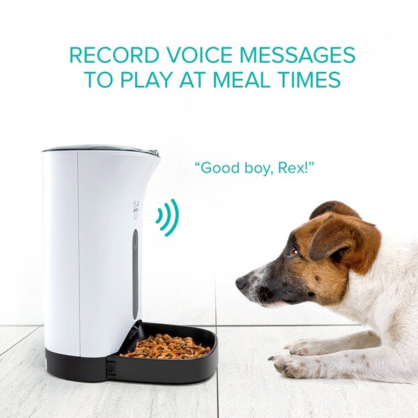 Arf Pets Automatic Pet Feeder Food Dispenser with Timer - Up to 4 Meals a Day - APAFNEW2