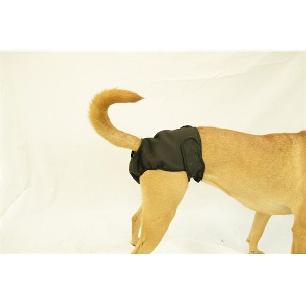 Seasonals Seasonals 41112BLK Washable Female Dog Diaper; Black - Medium - 41112BLK