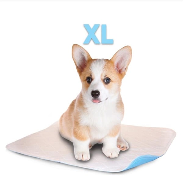 Lennypads 28 x 32 in. Extra Large Washable Pet Pad - White - LE328897