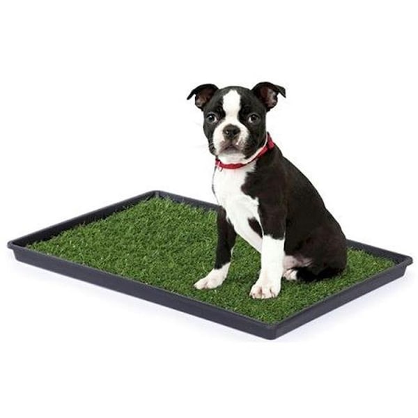 Prevue Hendryx Prevue Hendryx PP-502 Tinkle Turf - Large - PP-502
