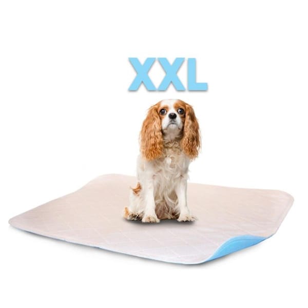 Lennypads 36 x 36 in. 2XL Washable Pet Pad - White - LE328898