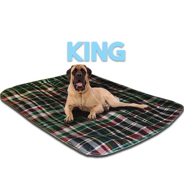 Lennypads 48 x 72 in. King Size Washable Pet Pad - Green Plaid - 4872LPG